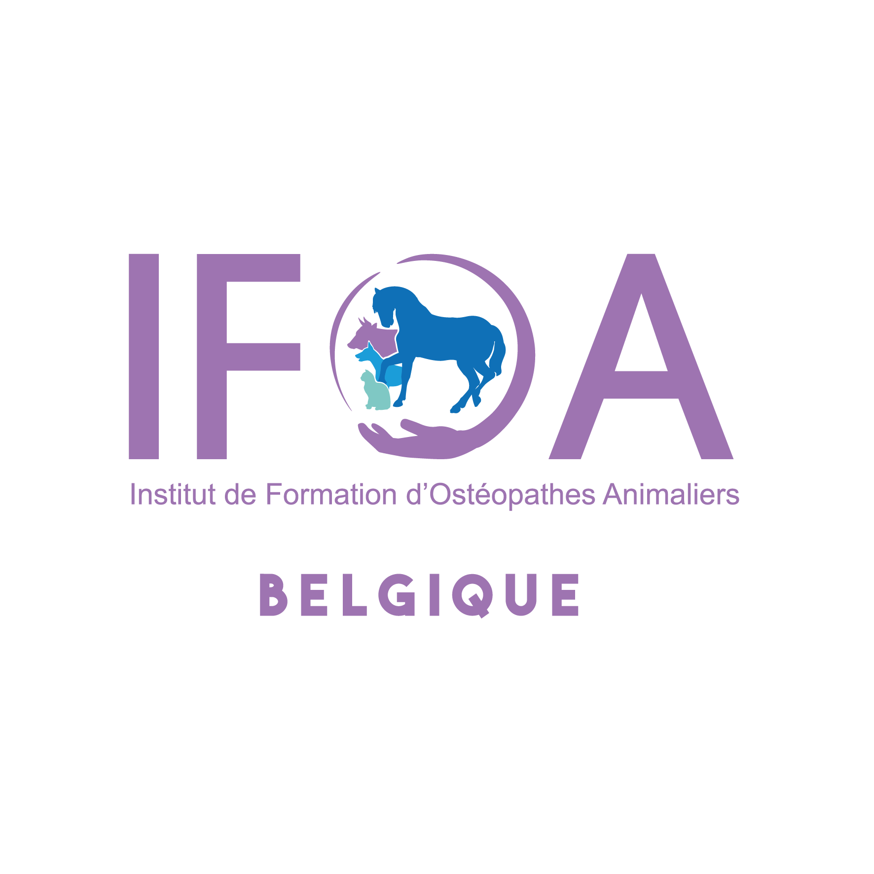 IFOA Champs-sur-Marne (77) IFOA GRAND PARIS