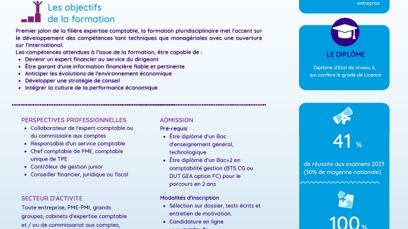 Diplôme de Comptabilité et de Gestion (DCG)