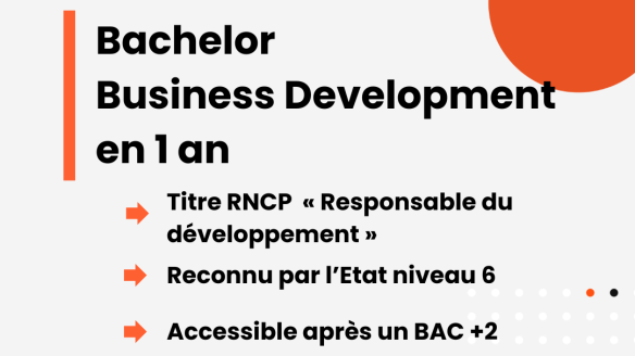 Bachelor Business Development 