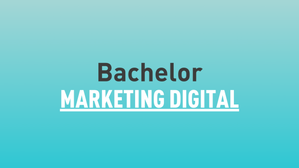 Bachelor Marketing Digital