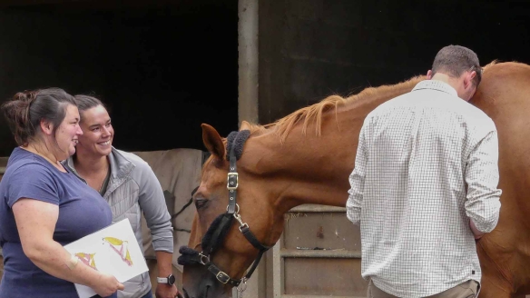 OSTÉOPATHE ANIMALIER - Cursus enseignement supérieur privé 