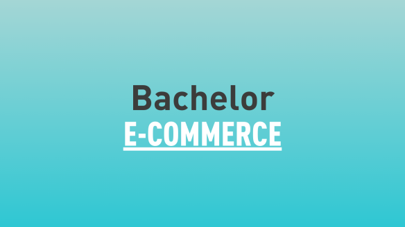 Bachelor E-commerce