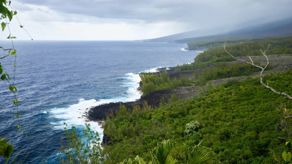 SUP'DE COM Le Port (97) - Campus de la Réunion