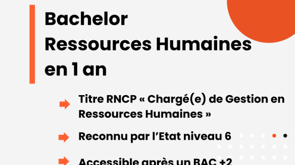 Bachelor Ressources Humaines