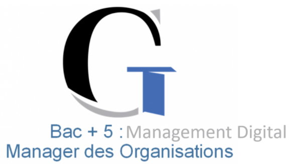 Bac + 5 Management Digital - Manager des Organisations