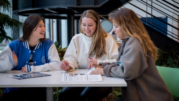 Bachelor Manager des organisations à l'international