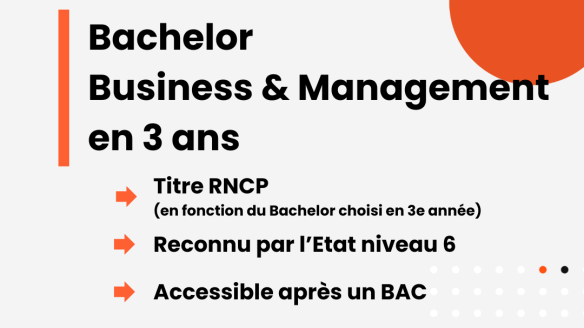 Bachelor Business et Management