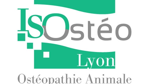 Diplôme d'Ostéopathie Animale