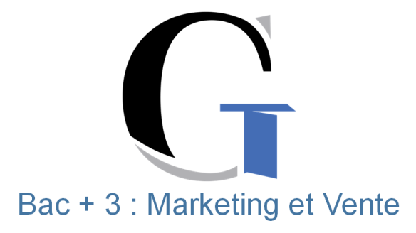 Bachelor Européen en Marketing : Chargé(e) de développement Marketing et Commercial