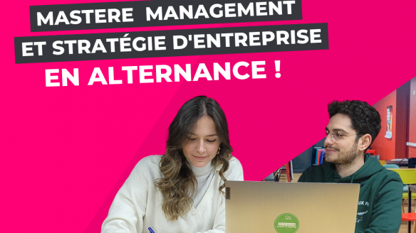 Mastère Européen Management et Stratégie d’Entreprise