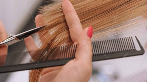 Bac Professionnel Métiers de la Coiffure