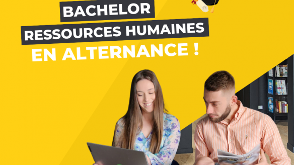 BAC + 3 Ressources Humaines