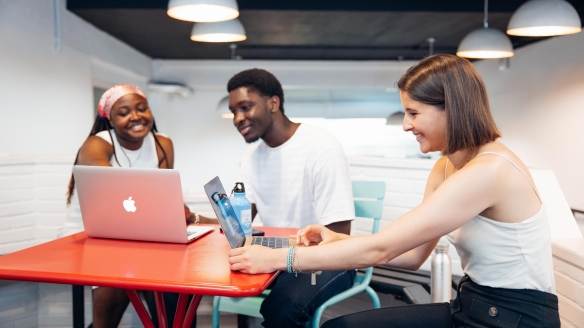 Bachelor droit des entreprises 