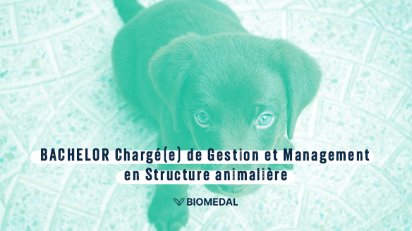 BACHELOR Chargé(e) de Gestion et Management en Structure animalière