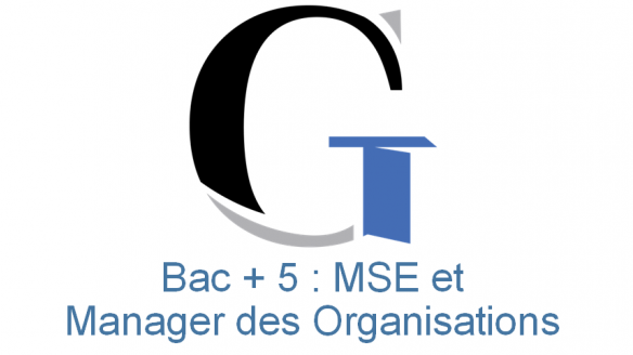 Mastère Européen Management et Stratégie d'Entreprise et Manager des Organisations