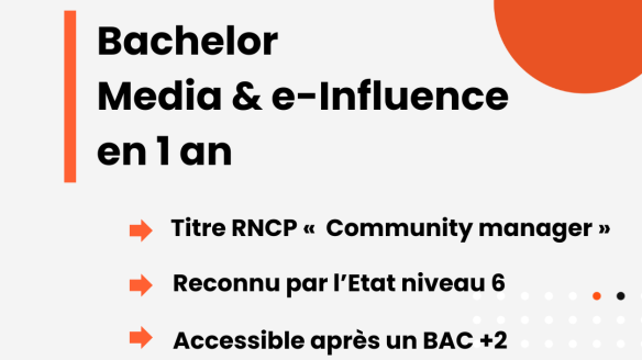 Bachelor Social Media & e-influence